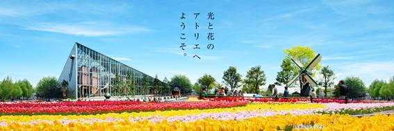 http://www.tulipfair.or.jp/share/img/home/main-img.jpg