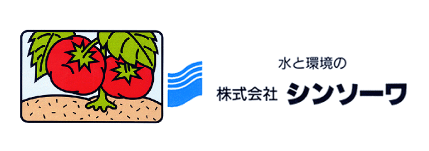 シンソーワ